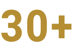 30 Plus Icon