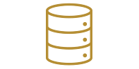 Digital Twins Icon